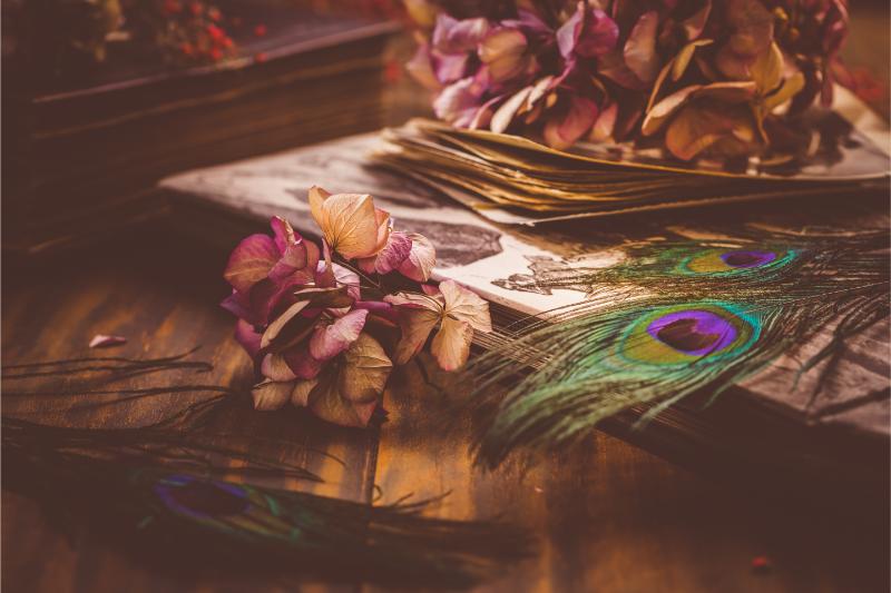 Financial Success: Top Books to Improve Your Money Management Skills
